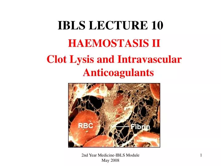 ibls lecture 10