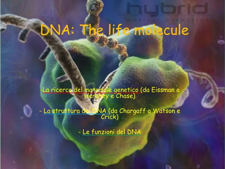dna the life molecule