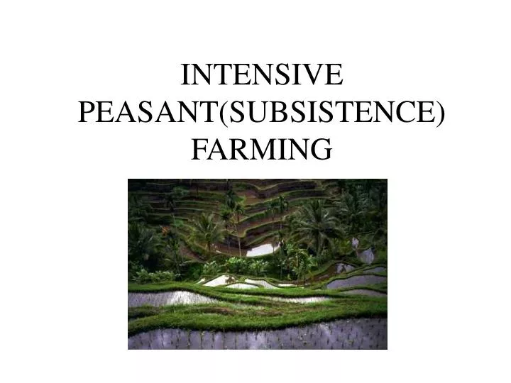 intensive peasant subsistence farming