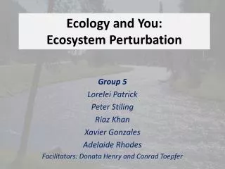 Ecology and You: Ecosystem Perturbation