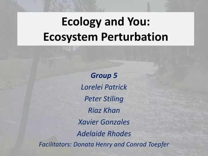 ecology and you ecosystem perturbation