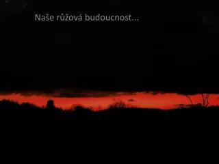 na e r ov budoucnost