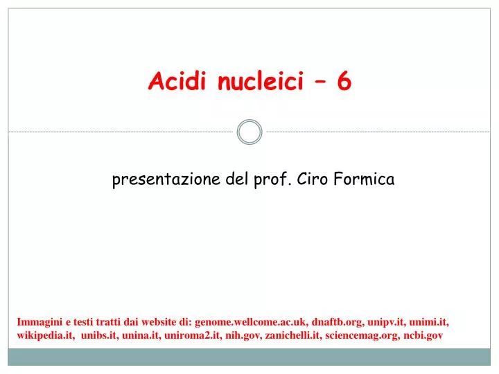 acidi nucleici 6