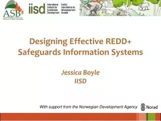 Designing Effective REDD+ Safeguards Information Systems Jessica Boyle IISD