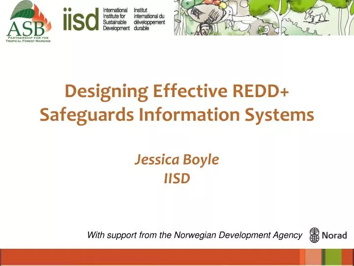 designing effective redd safeguards information systems jessica boyle iisd