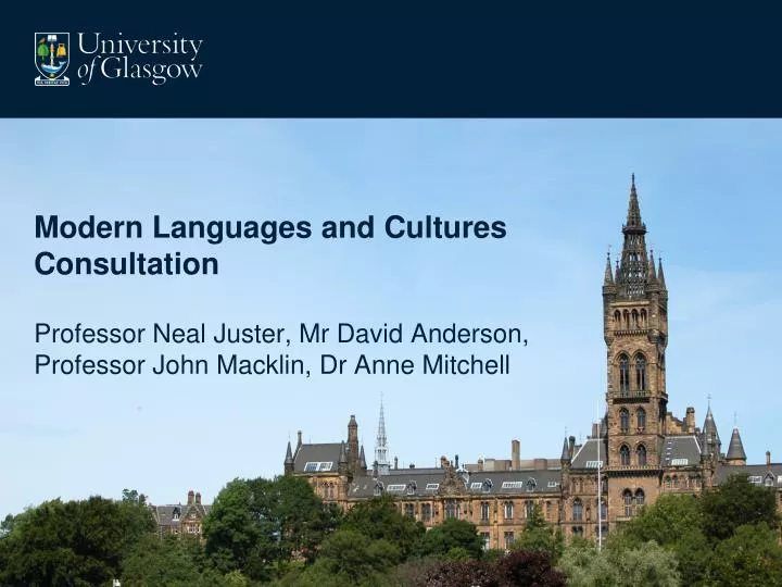 modern languages and cultures consultation