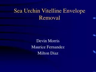 Sea Urchin Vitelline Envelope Removal