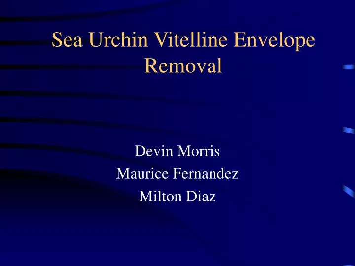 sea urchin vitelline envelope removal