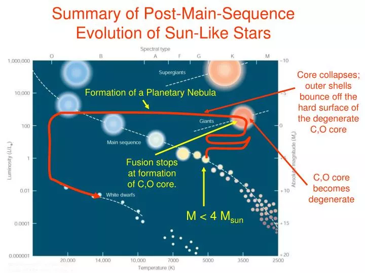 summary of post main sequence evolution of sun like stars