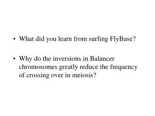 What did you learn from surfing FlyBase?