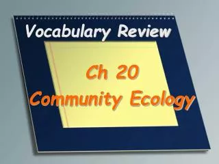 Vocabulary Review