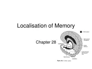 Localisation of Memory