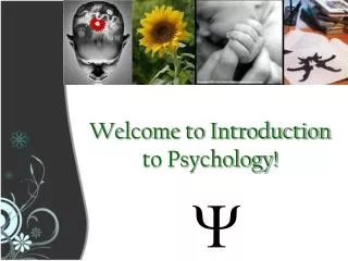 Welcome to Introduction to Psychology!