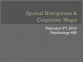 Spatial Navigation &amp; Cognitive Maps