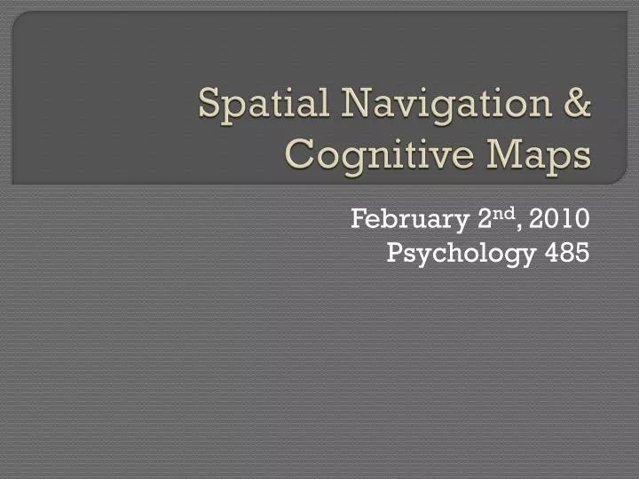 spatial navigation cognitive maps