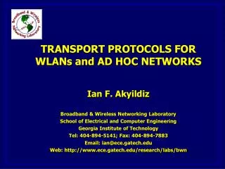 Overview of Transport Problems in WLANs