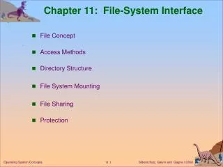 chapter 11 file system interface