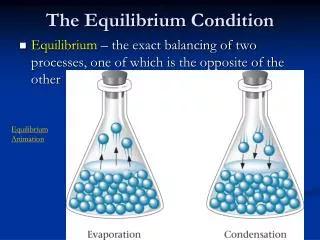 The Equilibrium Condition