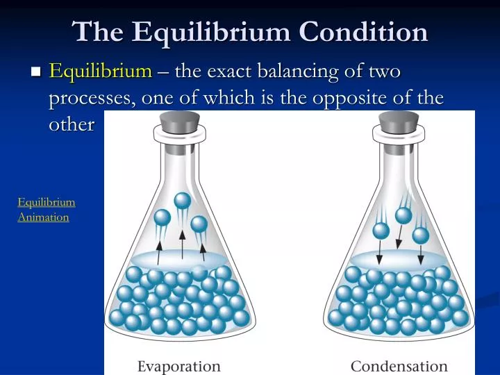 the equilibrium condition