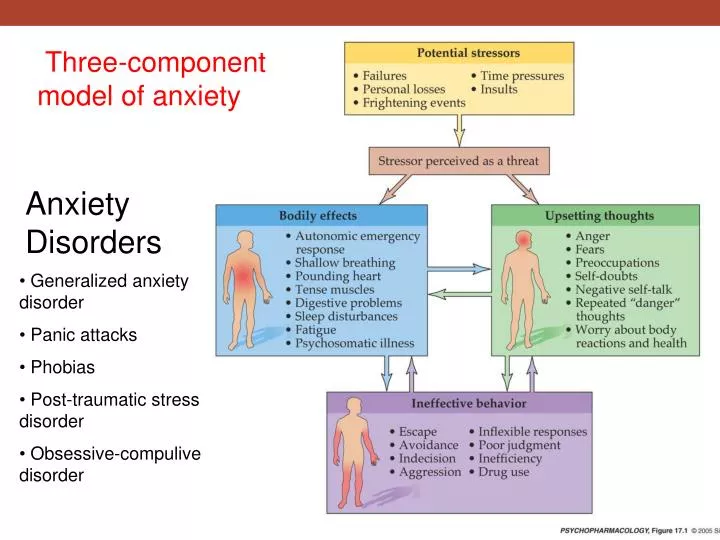 three component model of anxiety