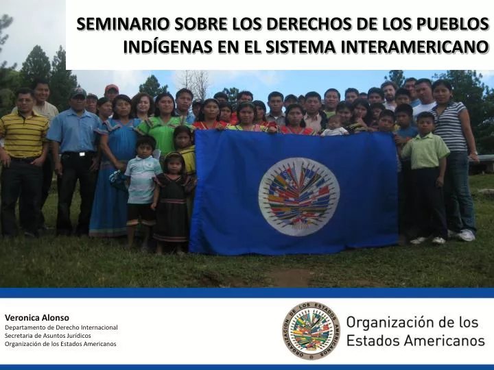 seminario sobre los derechos de los pueblos ind genas en el sistema interamericano