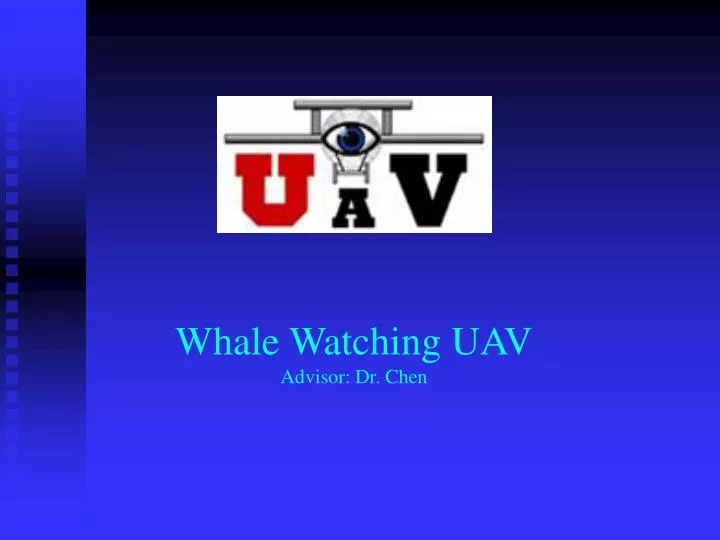 whale watching uav advisor dr chen