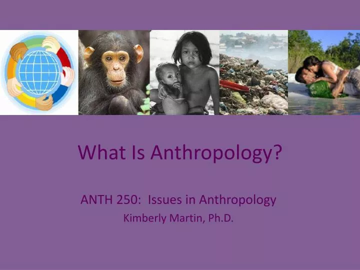 what is anthropology