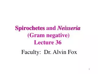 Spirochetes and Neisseria (Gram negative) Lecture 36