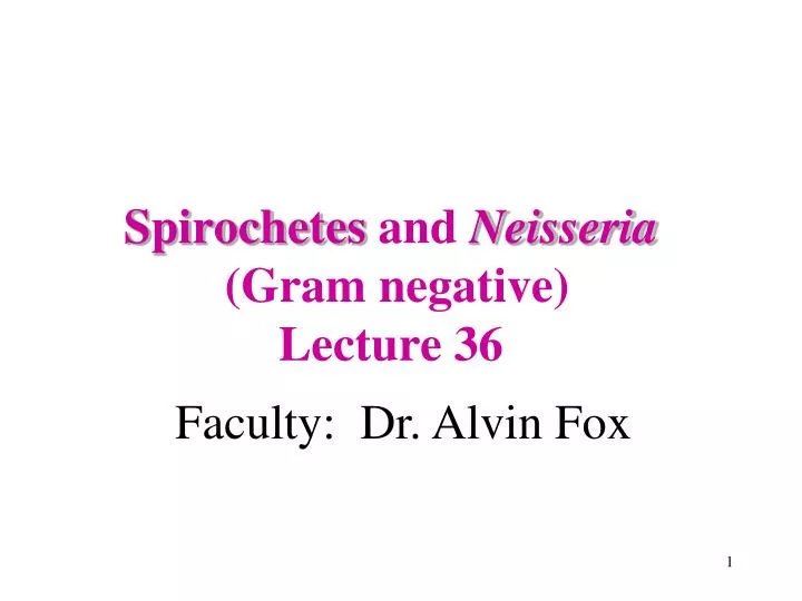 spirochetes and neisseria gram negative lecture 36