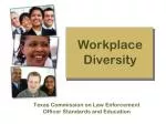 Workplace Diversity - slide 1