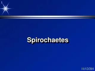 Spirochaetes