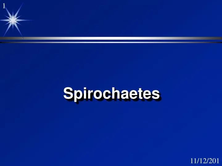 spirochaetes