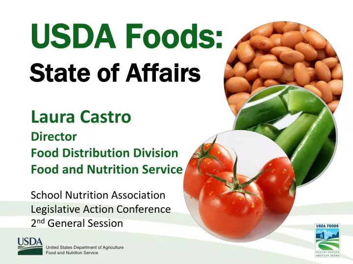 usda foods state of affairs