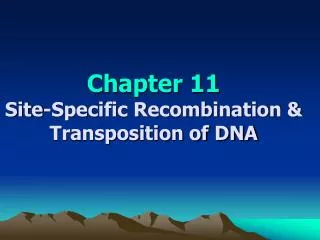 Chapter 11 Site-Specific Recombination &amp; Transposition of DNA