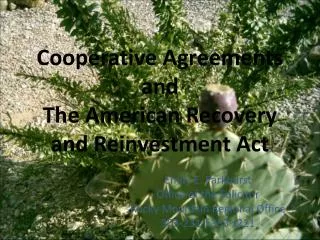 Cooperative Agreements and The American Recovery and Reinvestment Act