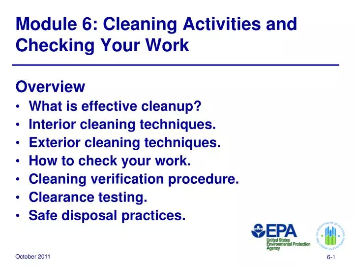 module 6 cleaning activities and checking your work