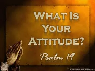 What Is Your Attitude?
