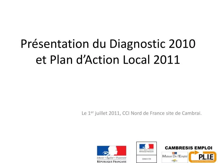pr sentation du diagnostic 2010 et plan d action local 2011