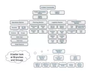 A better look at Branches and Groups