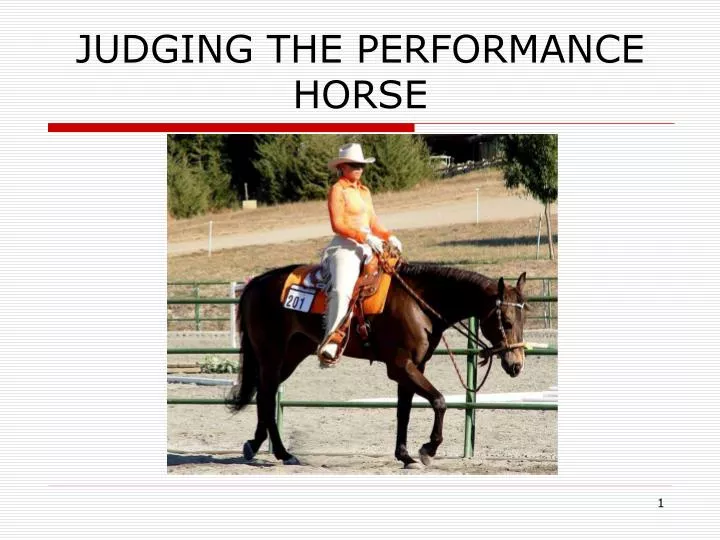 judging the performance horse