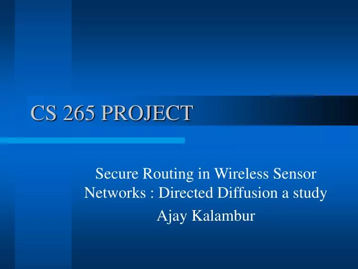cs 265 project