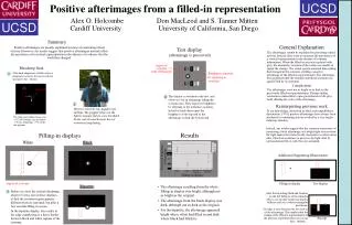 Positive afterimages from a filled-in representation