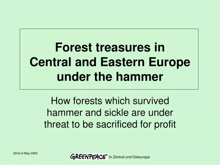 forest treasures in central and eastern europe under the hammer