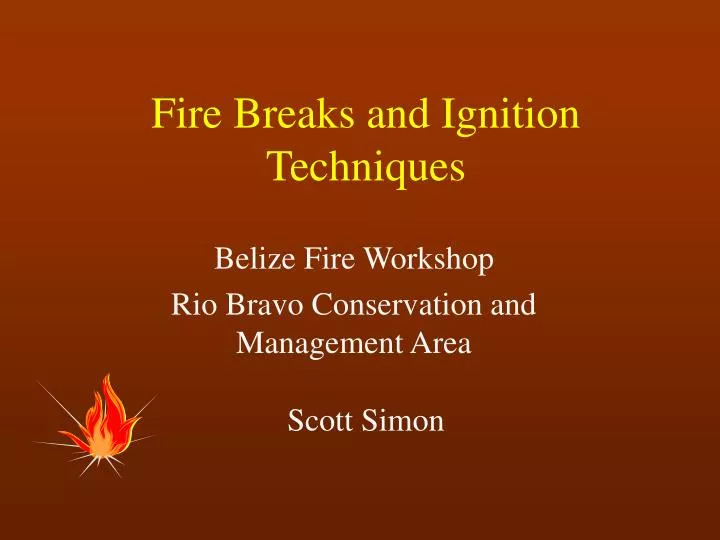 fire breaks and ignition techniques