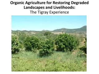 Organic Agriculture for Restoring Degraded Landscapes and Livelihoods: The Tigray Experience