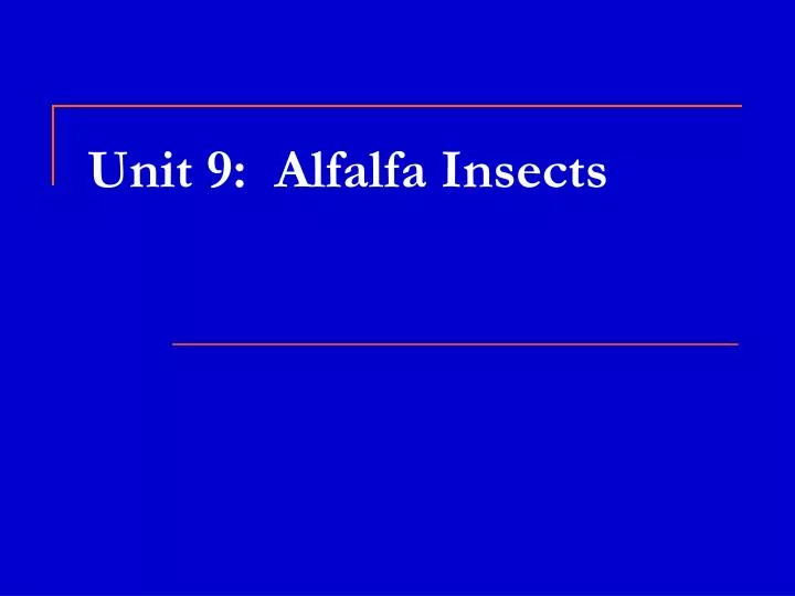 unit 9 alfalfa insects