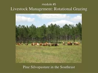 module #5 Livestock Management: Rotational Grazing