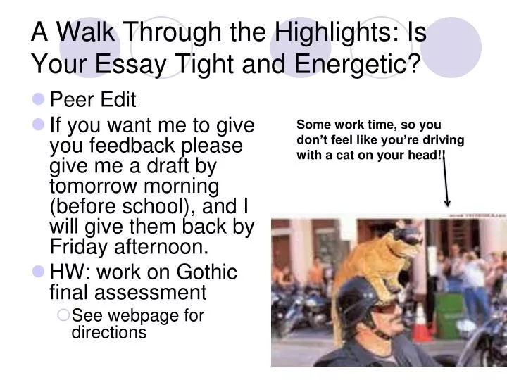 a walk through the highlights is your essay tight and energetic