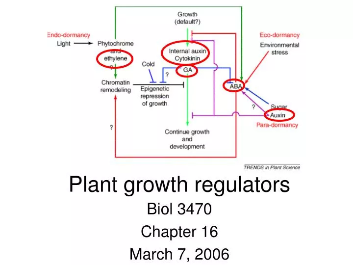 plant growth regulators