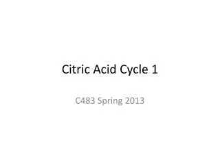 Citric Acid Cycle 1